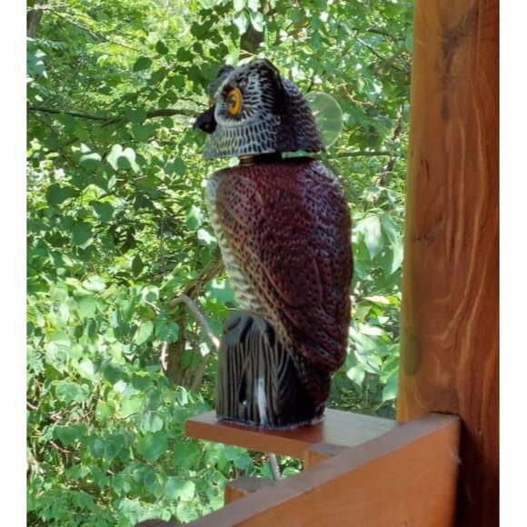 Bird Owl to Frighten Birds, Fake Owl Statue Decoy, Plastic Owl Scarecrow - Picture 1 of 1